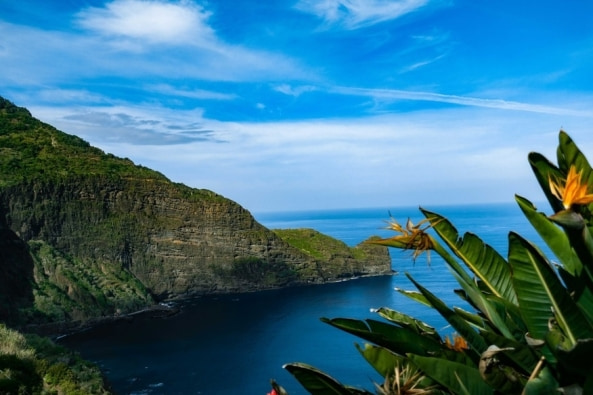 TOP REASONS TO VISIT FUNCHAL AND CÂMARA DE LOBOS: A JOURNEY THROUGH MADEIRA’S HIDDEN GEMS