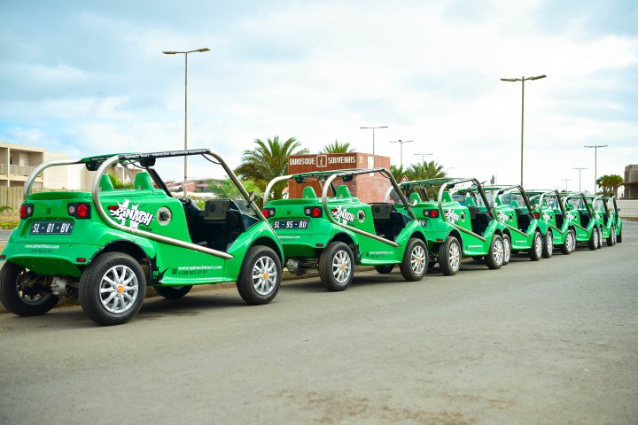 spinach group tours in sal island, cape verde